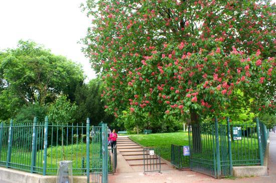 Parc de Choisy